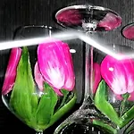 Tulip High-end, Grand Apartment *