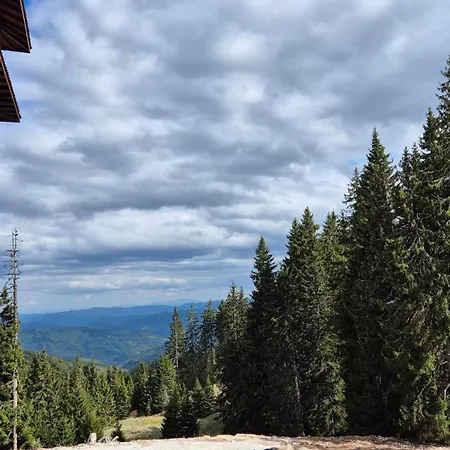 Spacious One-bedroom With Large Panoramic Terrace Apartment Pamporovo