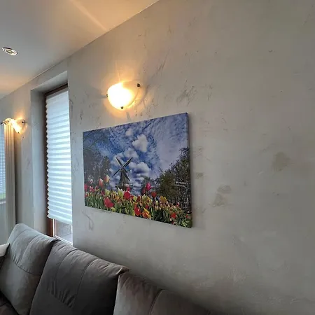 Spacious One-bedroom With Large Panoramic Terrace Apartment *