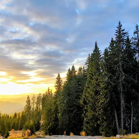 Spacious One-bedroom With Large Panoramic Terrace Pamporovo