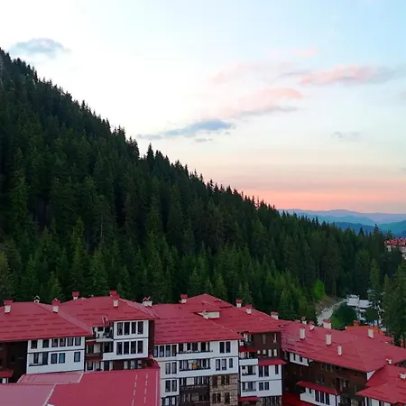 Apartment Spacious One-bedroom With Large Panoramic Terrace
