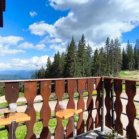 Apartment Spacious One-bedroom With Large Panoramic Terrace