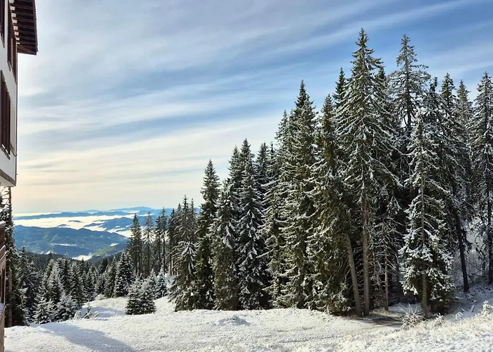 Tulip High-end, Grand Apartment *