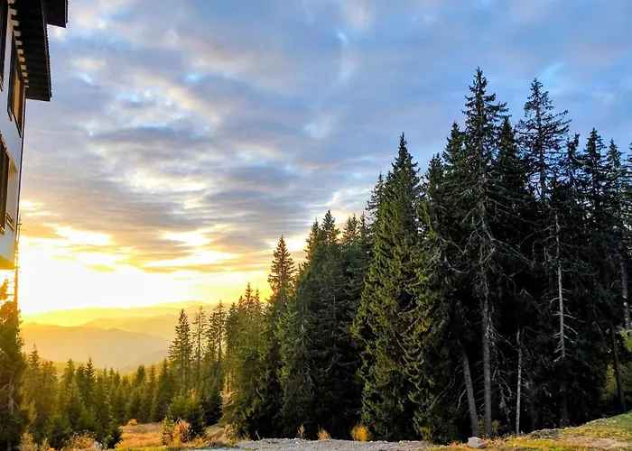 Tulip High-end, Grand Pamporovo