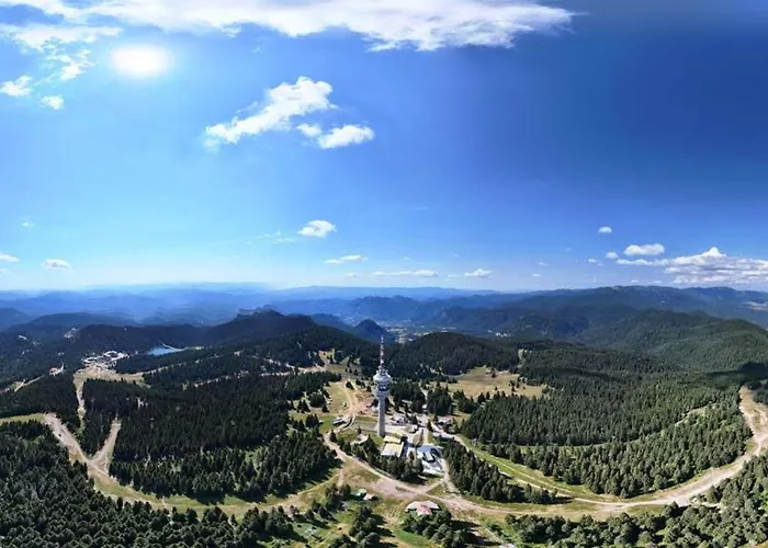 Tulip High-end, Grand *